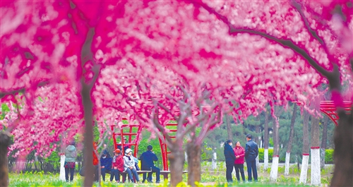 休闲农业不负春光,与春天撞个满怀