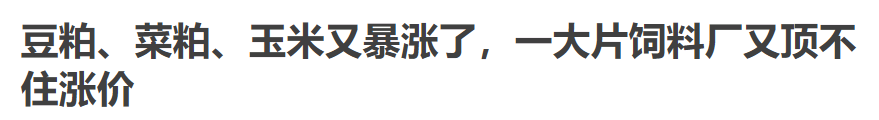 进口激增437.8%:中国不计成本购粮,未来会有大动作?