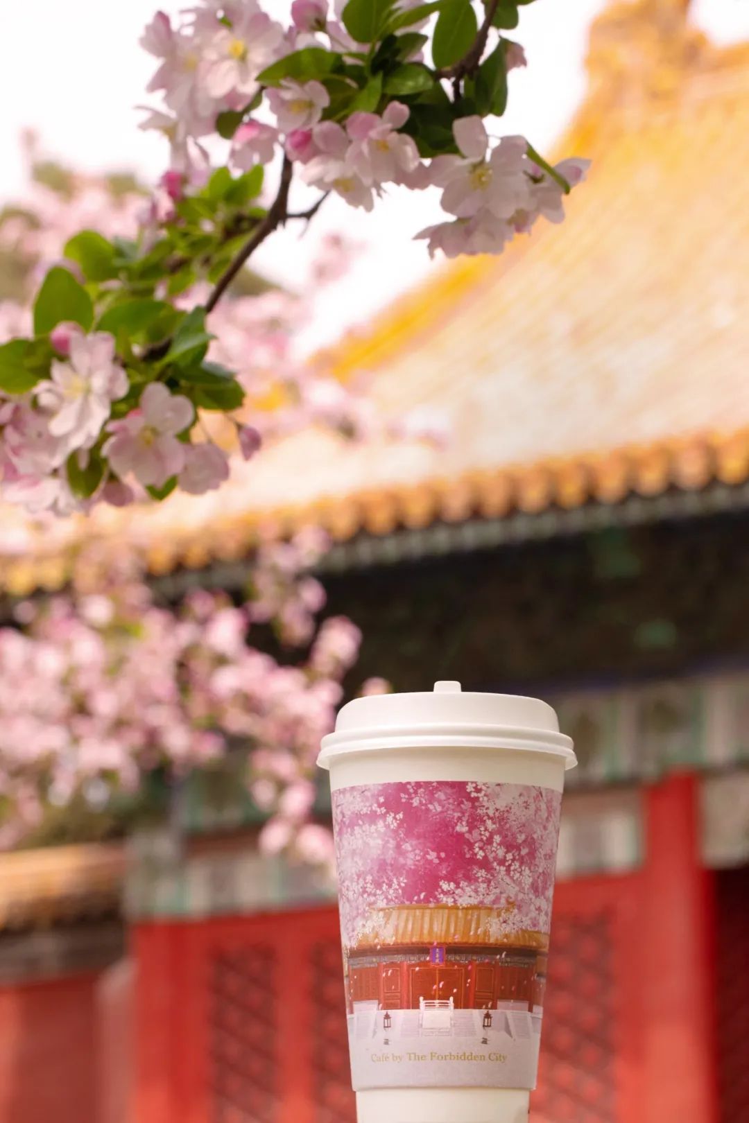 故宫角楼咖啡的新设计，太美了！