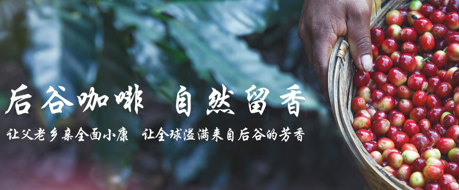 云南后谷咖啡债务重组进程顺利，期待纾困化危再出发