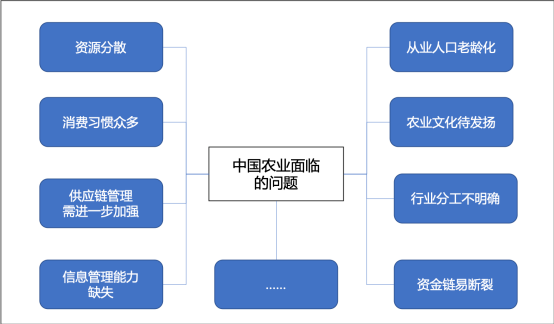 以拼多多为例,中国互联网企业为农业做了哪些努力?