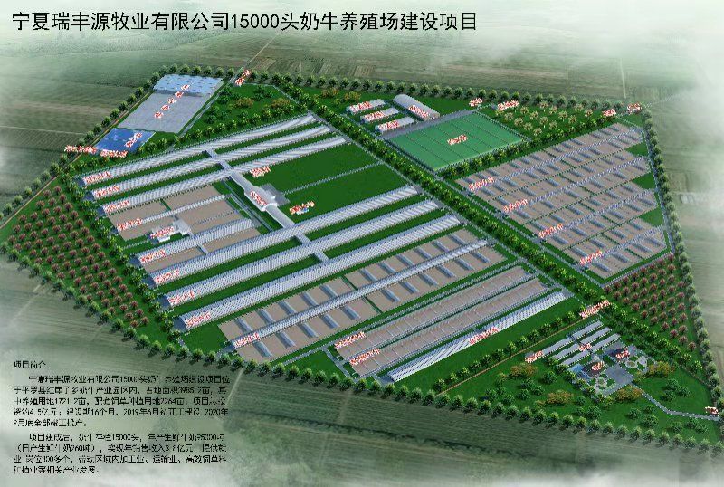 宁夏瑞丰源3万头奶牛养殖项目(二期)预计明年9月完工