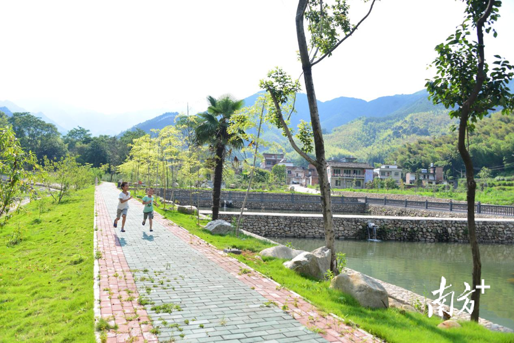 美丽的夏东村。黄津 摄