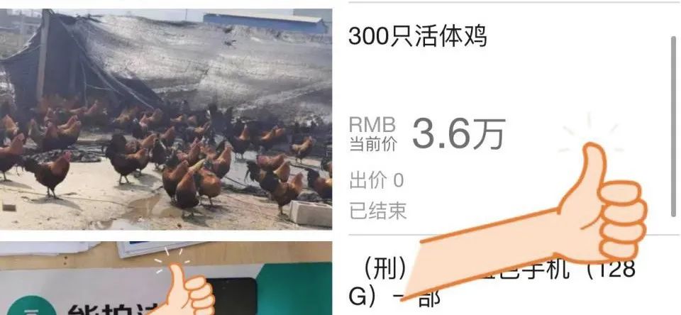 网上的司法拍卖，比小卖铺东西还全