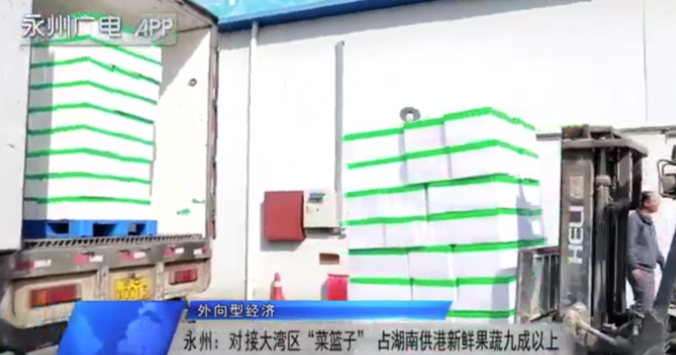 他山之石：血亏百亿，电商模式下企业该如何抉择