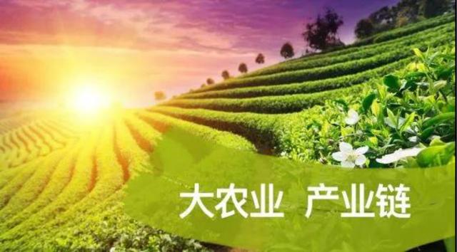 bd48c262c334a7c756e372b97d7b4a78_154038155240996adbae91b.jpg
