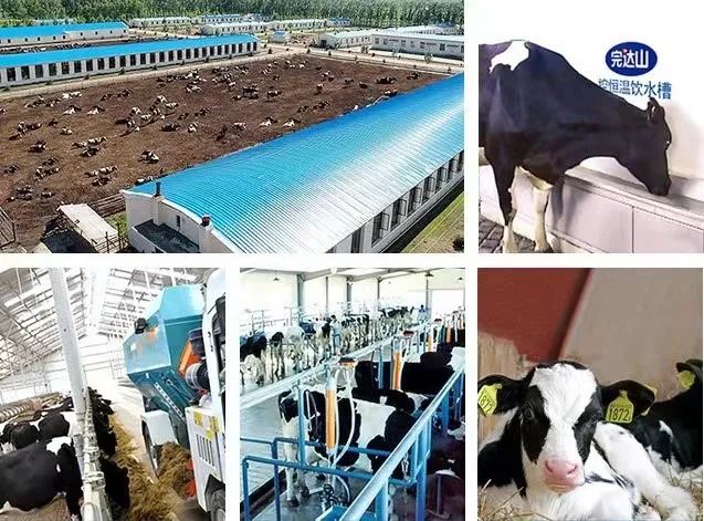 开辟“高寒生态奶”新赛道，完达山引领中国乳业全面振兴