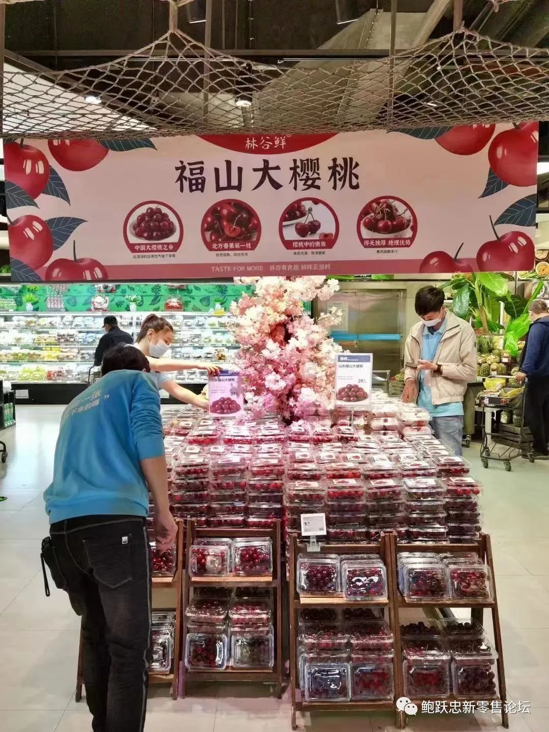 盒马能做NB项目,凭什么?