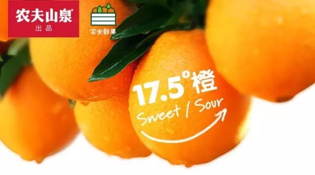 农夫山泉钟睒睒:我千亿身家是从种蘑菇开始的