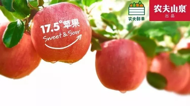 农夫山泉钟睒睒:我千亿身家是从种蘑菇开始的