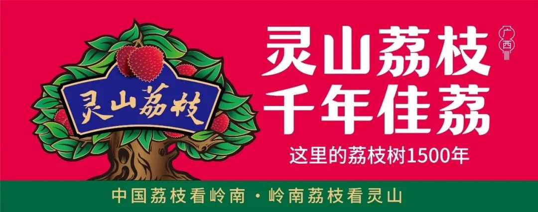灵山荔枝,千年佳荔的破局之路