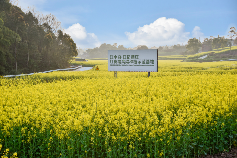 10年投入近30亿,江小白要开拓清香酒版图?