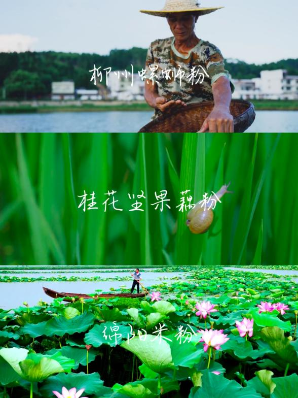 金典携手“哥哥”玩转剧本杀,网易严选反套路营销