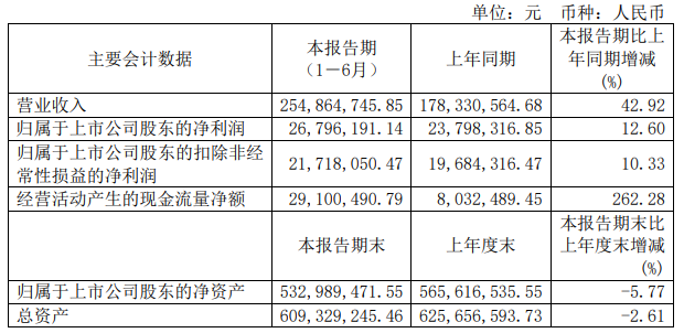 安记半年报.png