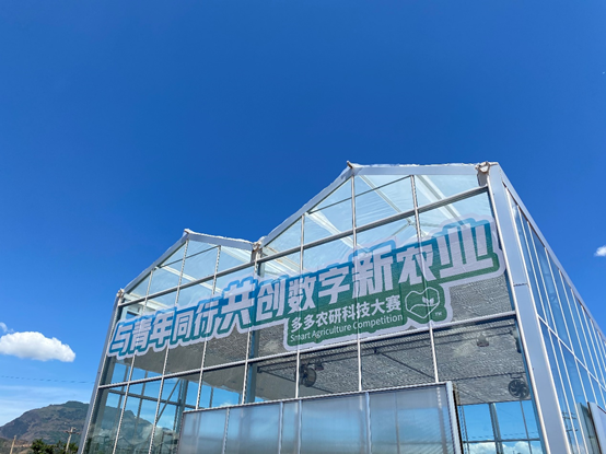 拼多多为何“死磕”农业?
