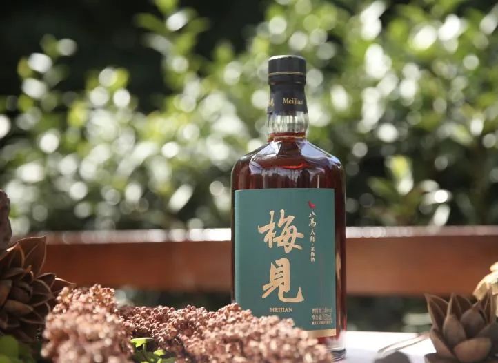 大师茶梅酒，下一个新酒饮大单品？