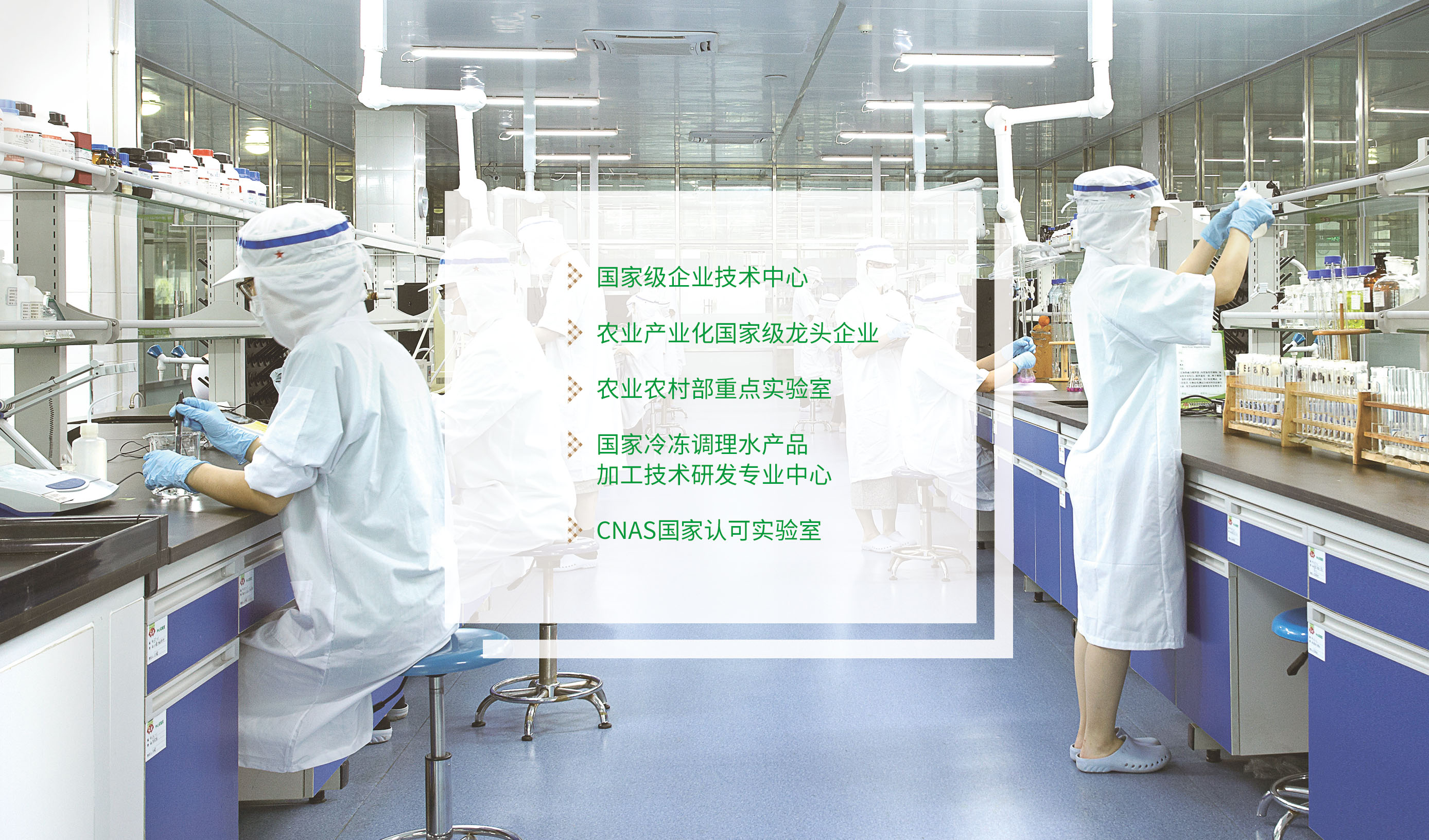 确认荣誉图-2.jpg