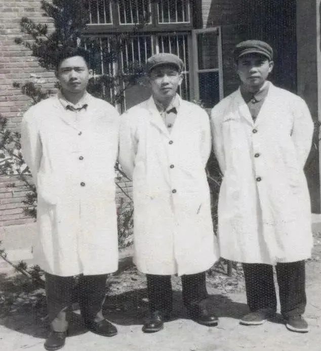 卖汤圆一年赚 70 亿,现入局新能源