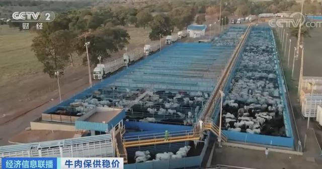 牛肉价格、销量大涨,超市一天补货三次!