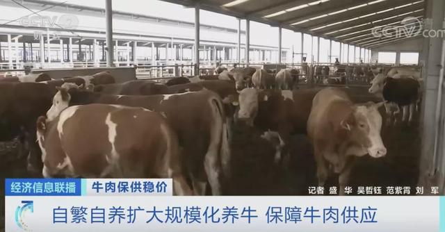 牛肉价格、销量大涨,超市一天补货三次!