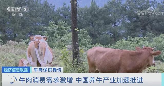 牛肉价格、销量大涨,超市一天补货三次!