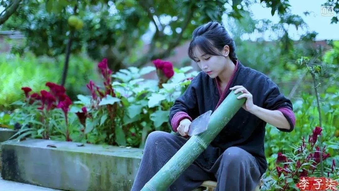 李子柒,怎么了?