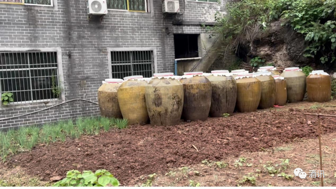 实地走访茅台镇，600家“小散弱”现状如何？