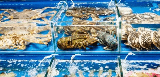 城镇居民水产品消费比重上升,2020年人均消费海鲜27kg!