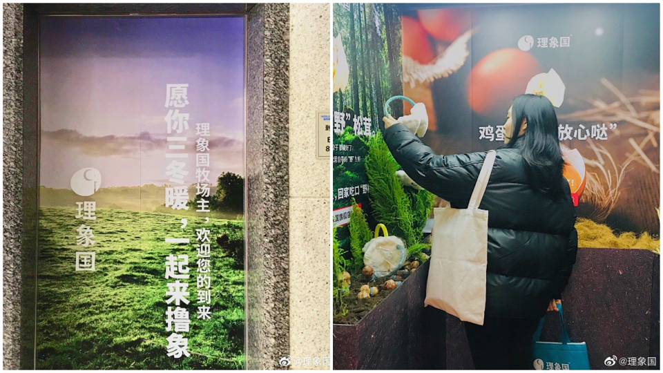 新中式点心正在搅热1000多亿速冻市场