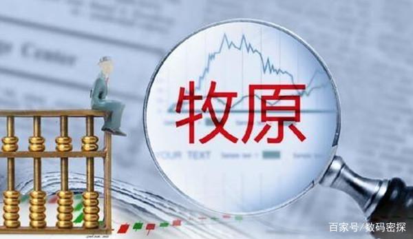 猪肉价格再创新低,10家猪企亏掉147亿!