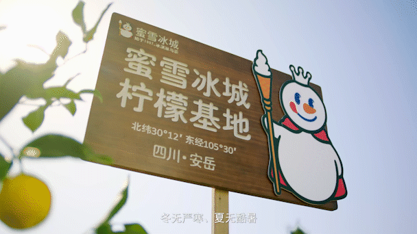 会赚钱的新茶饮，开始主动“花钱”了