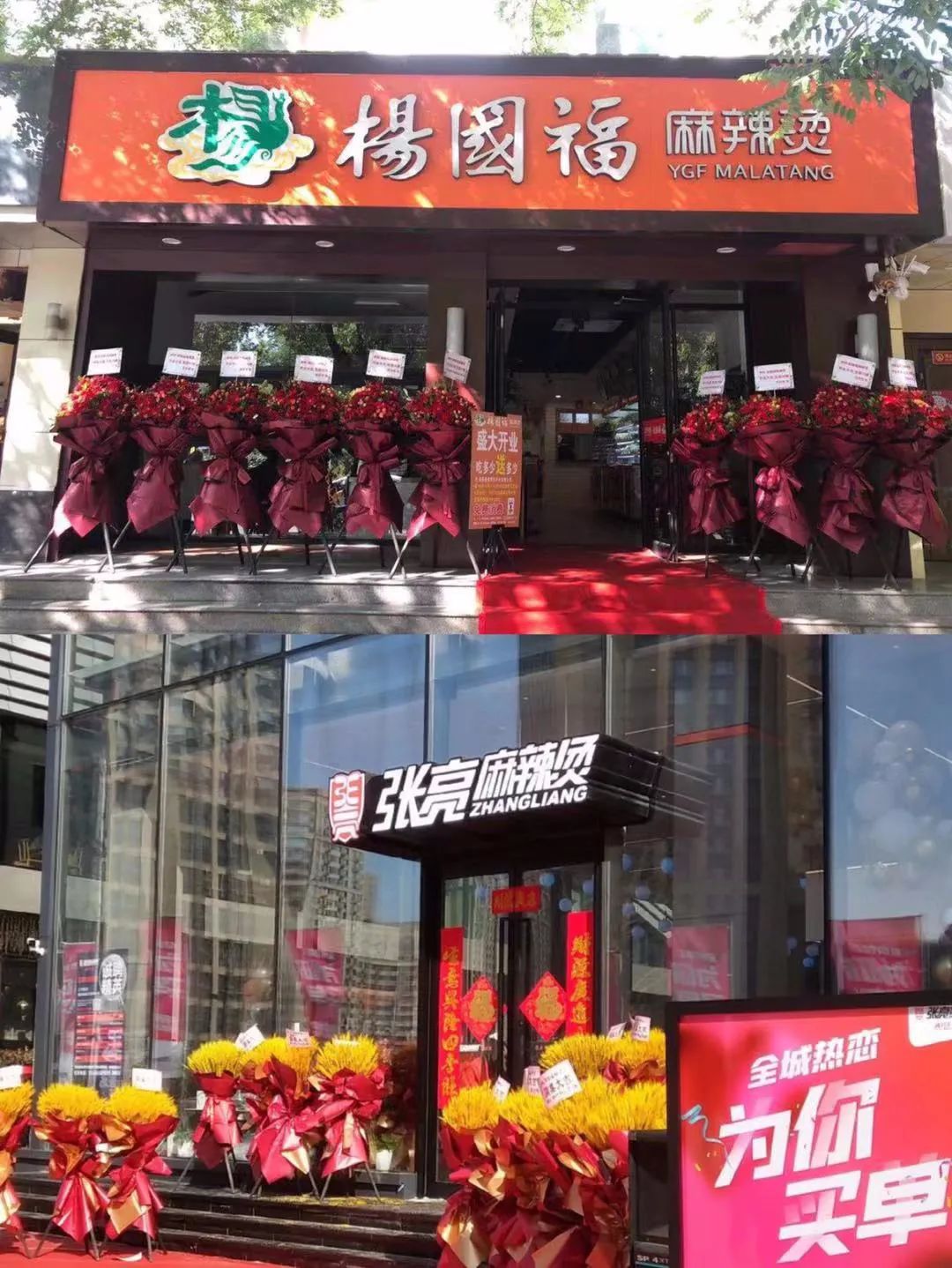哈尔滨是“餐饮荒漠”还是“餐饮襁褓”?