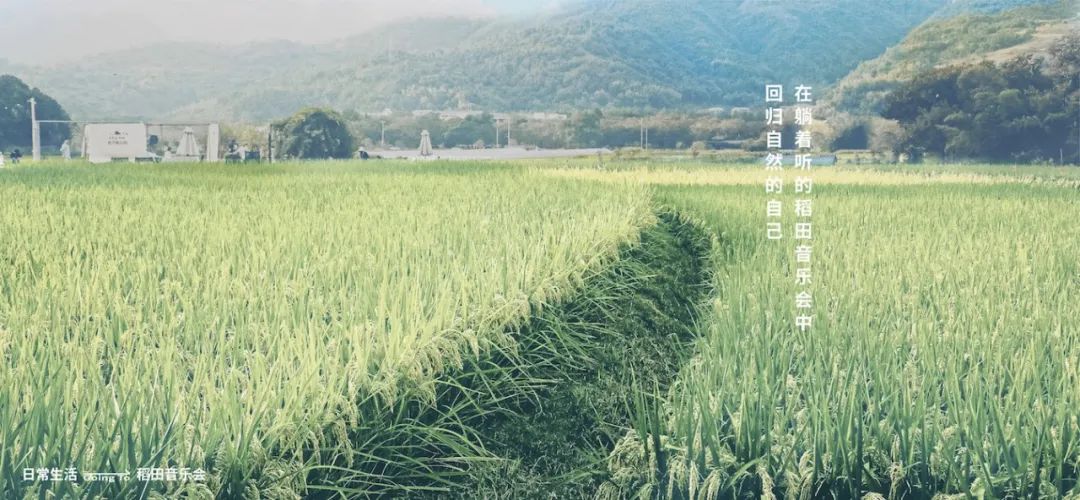 这个品牌举办了一场“躺着听”的稻田音乐会