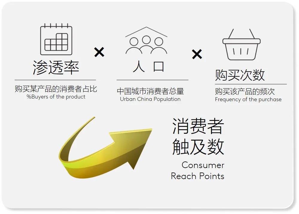食品饮料消费的现状、潜力与未来