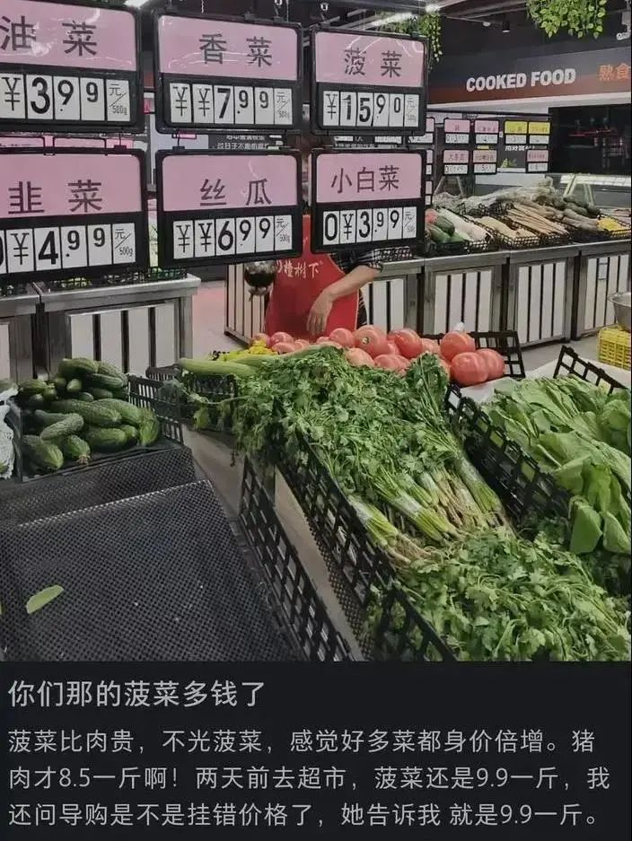 菜价为何大涨?去年买不起猪肉,今年买不起大葱