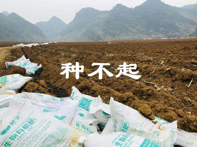 菜价为何大涨?去年买不起猪肉,今年买不起大葱
