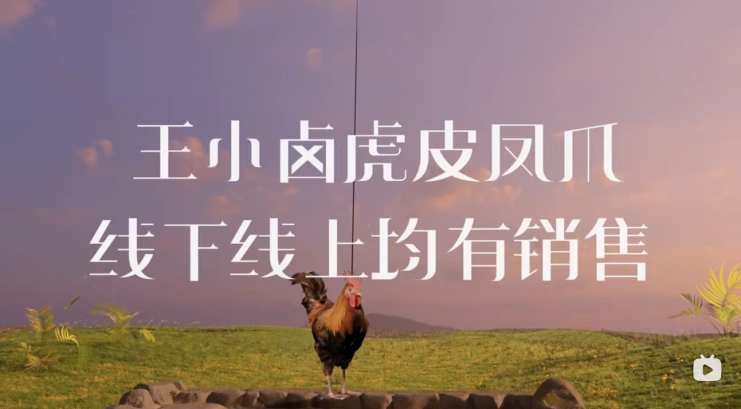 进入1亿袋俱乐部,王小卤如何加速国民品牌之路?