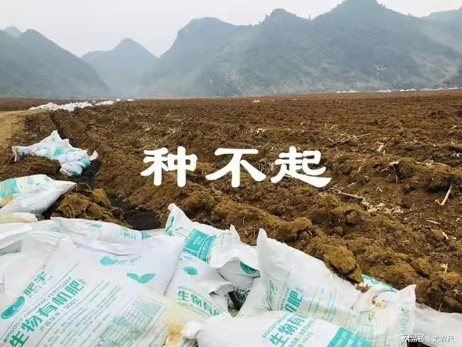 菜价涨到上天,菜农却血本无归:冰雪两重天背后,钱都被谁赚走了?