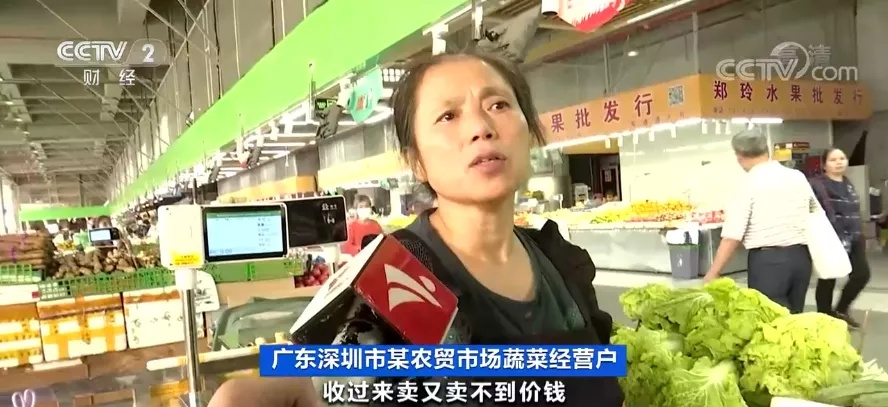 菜价涨到上天，菜农却血本无归：冰雪两重天背后，钱都被谁赚走了？