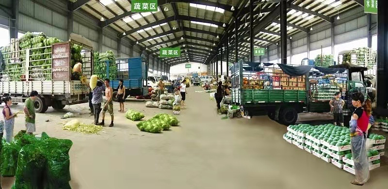 菜价涨到上天，菜农却血本无归：冰雪两重天背后，钱都被谁赚走了？