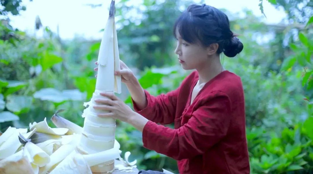 李子柒的大概率结局