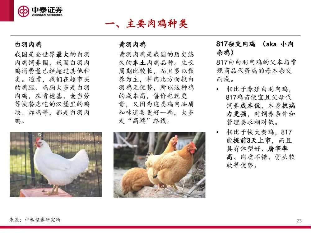 报告 | 2021肉鸡行业研究：供需、贸易和主要企业分析