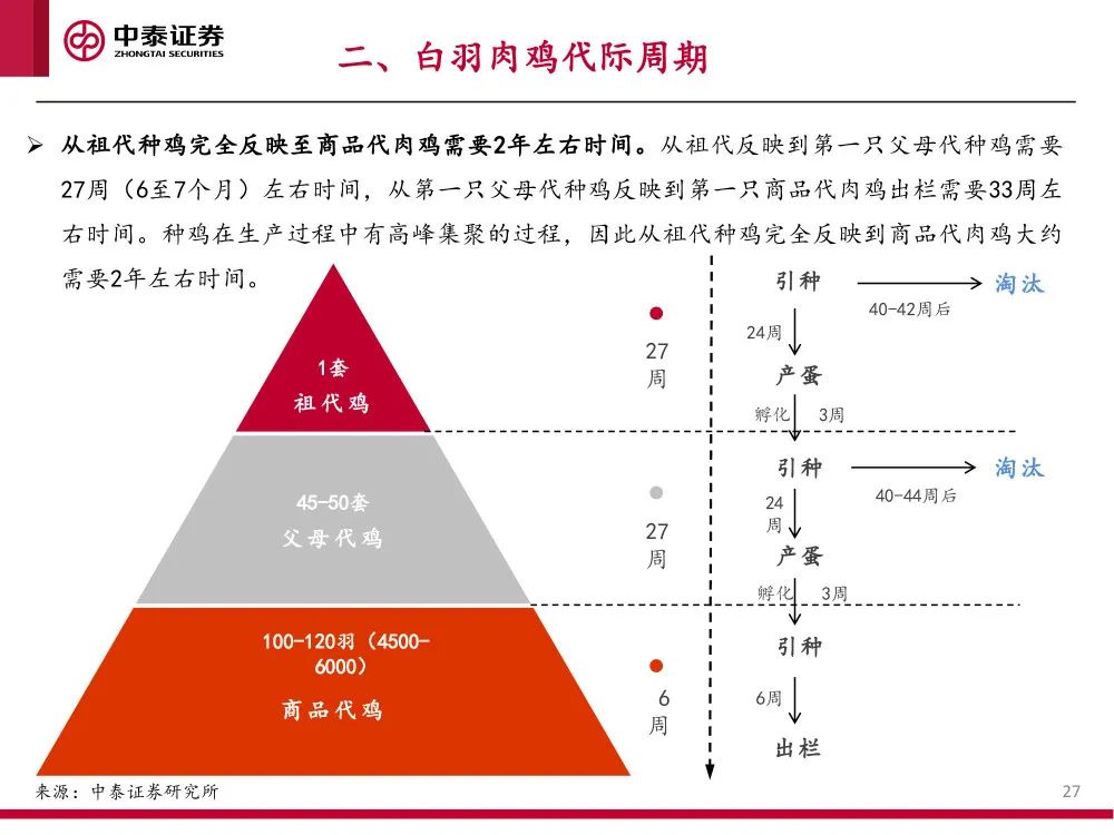 报告 | 2021肉鸡行业研究：供需、贸易和主要企业分析