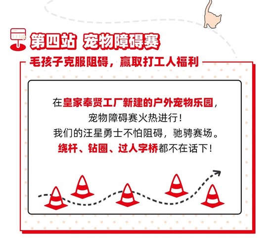 障碍赛.jpg