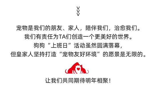 最后.jpg