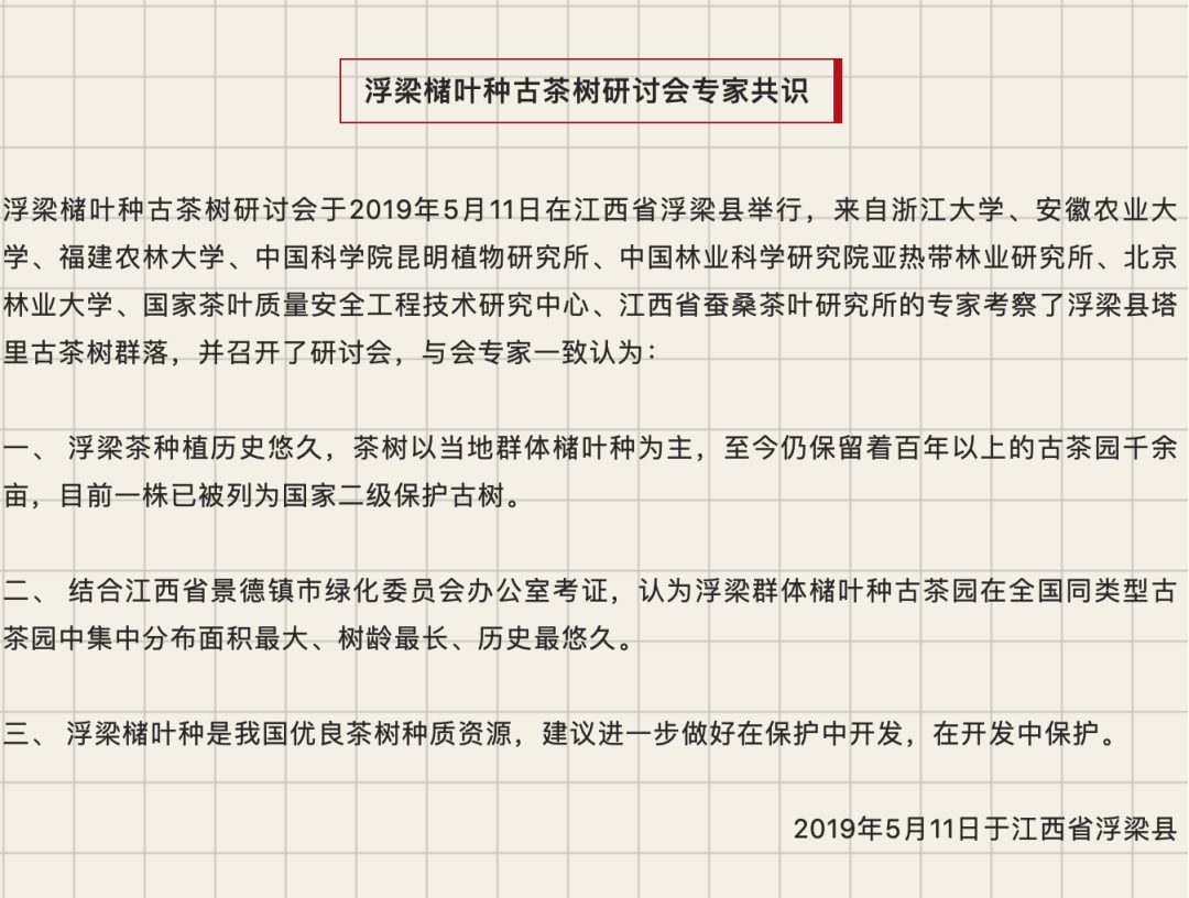 茶品牌价值创新营销案例 | 浮梁茶的当代复兴
