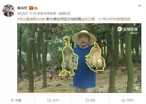火出天际!老乡鸡“咯咯哒”土味营销成功出圈