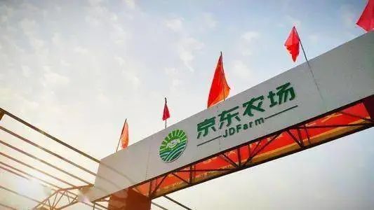 唯一的“草根”刘强东
