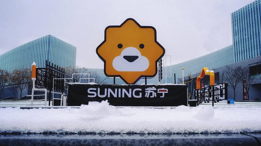 丢掉江山的苏宁张近东