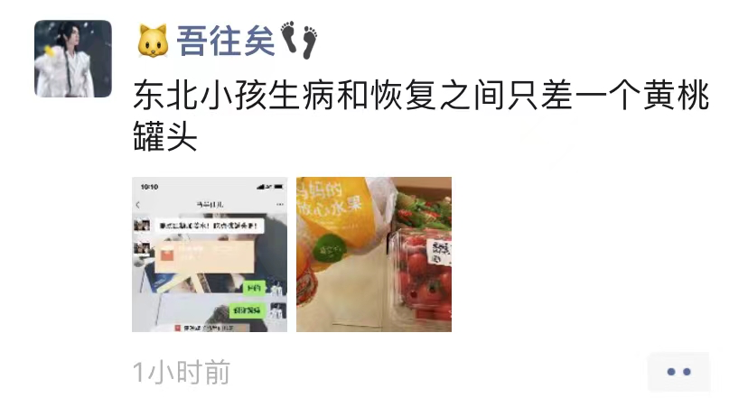 每个东北人,都是被它忽悠大的